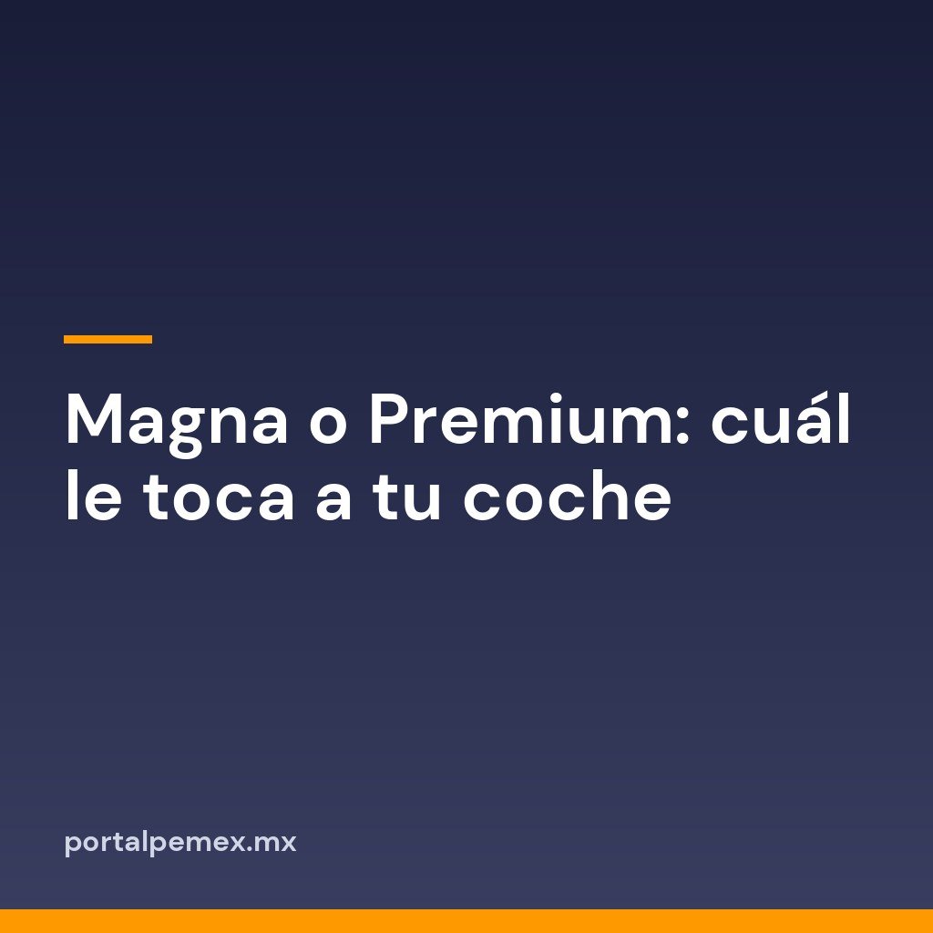 Magna o Premium: cuál le toca a tu coche 1 Magna o Premium: cuál le toca a tu coche